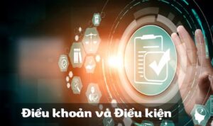 Vai trò của những quy định trong điều khoản và điều kiện